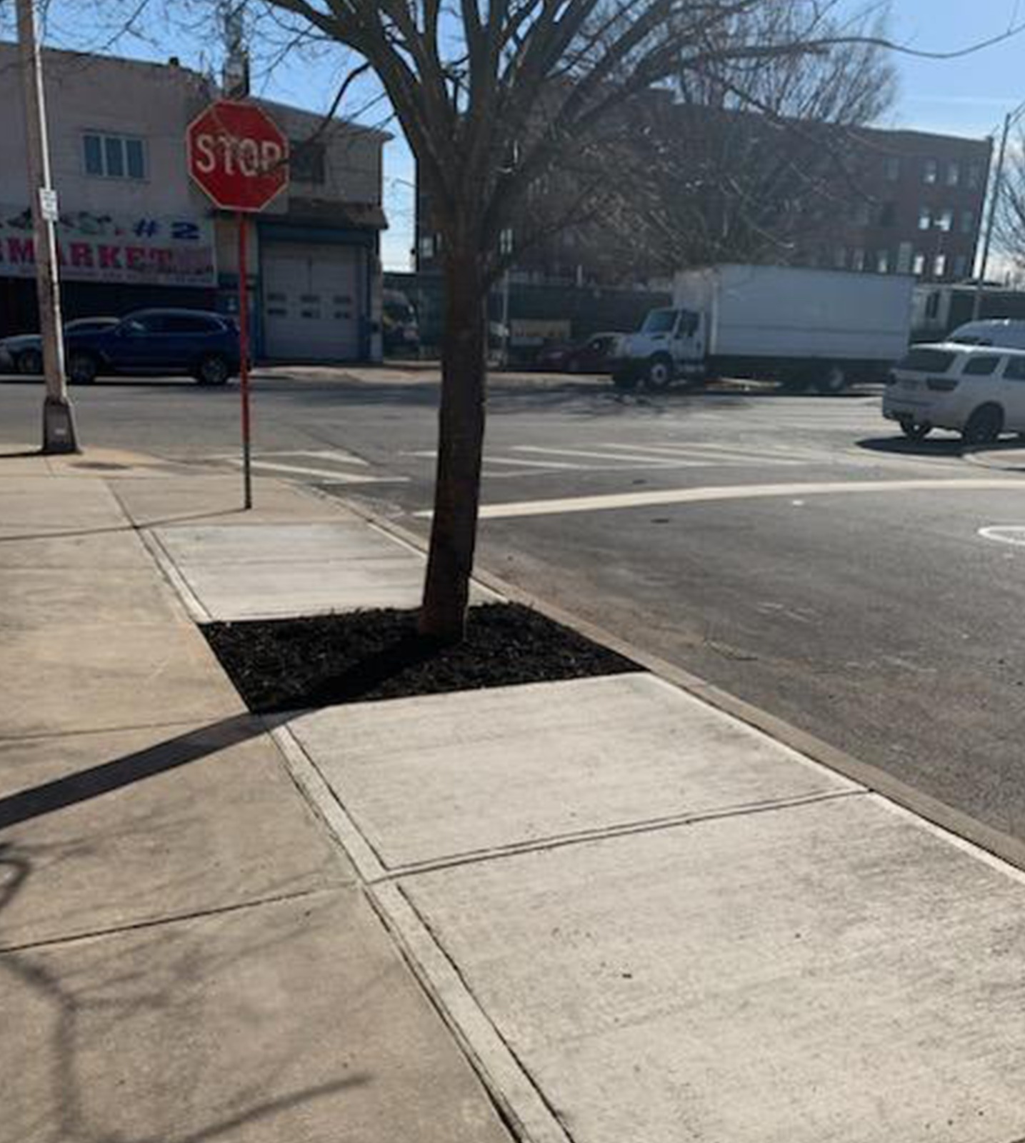 WhatsApp Image 2024-11-22 at 3.59.35 PM (4)