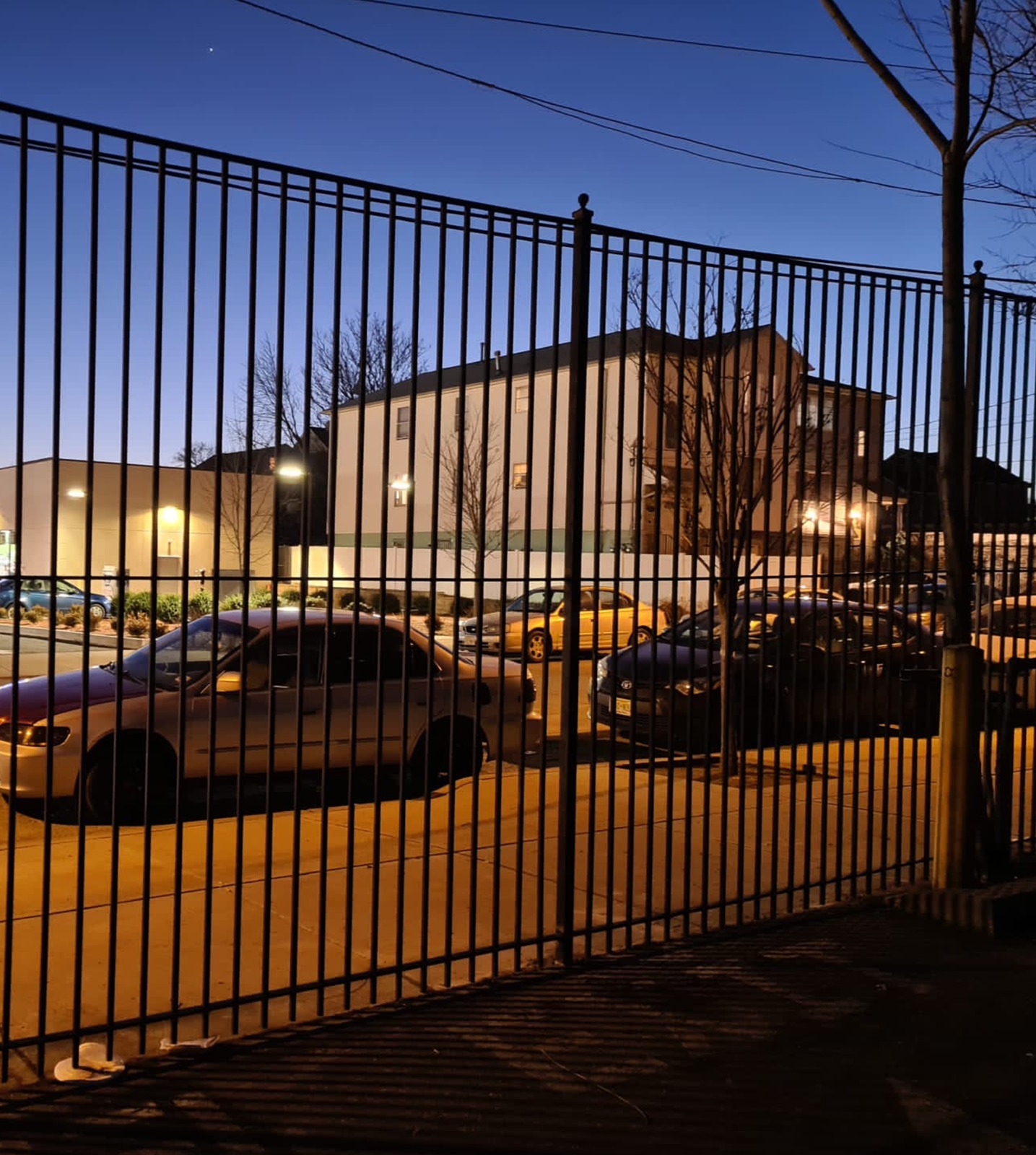 WhatsApp Image 2024-11-22 at 3.59.35 PM